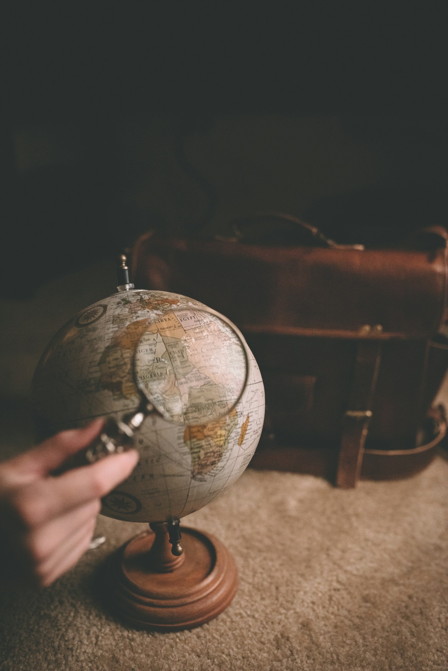 How Curiosity Fuels Lifelong Learning